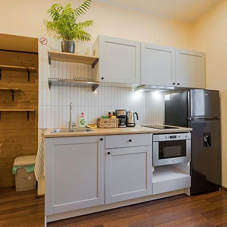 Cozy Studio And Standard Apartments In The Heart Of Oldtown ヴィリニュス エクステリア 写真